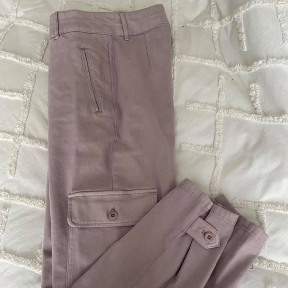Aritzia Modern Cargo Pant Wilfred Free in Mauve - Picture 4 of 4